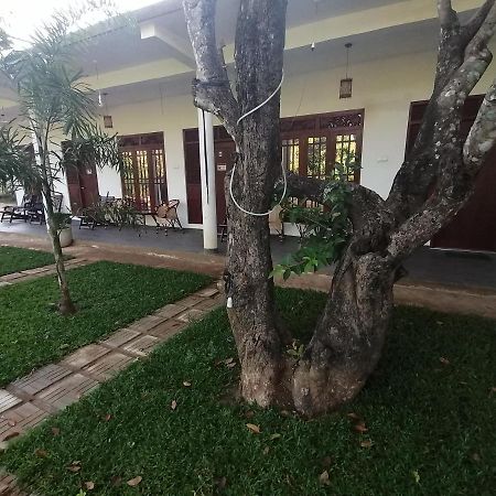 Sigiriya Green Garden Homestay ภายนอก รูปภาพ