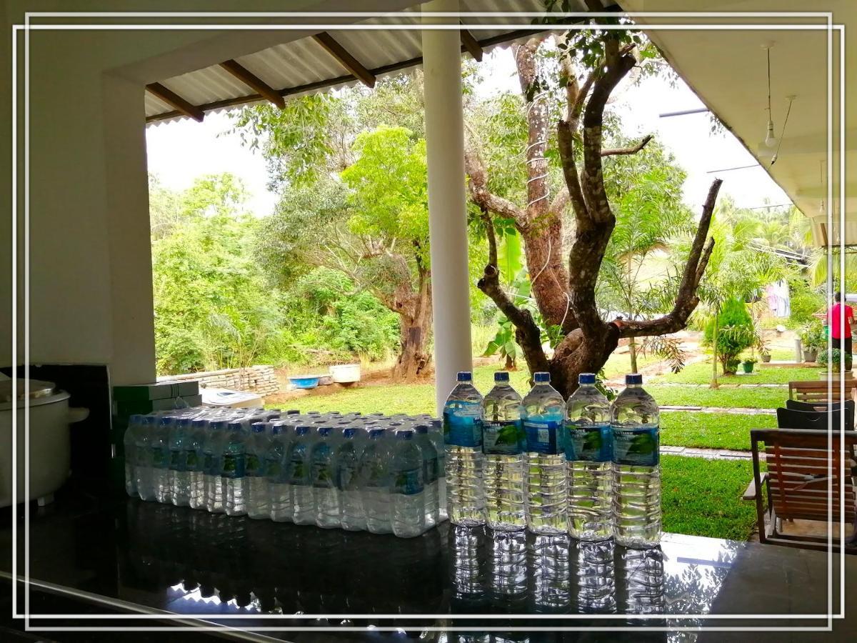 Sigiriya Green Garden Homestay ภายนอก รูปภาพ