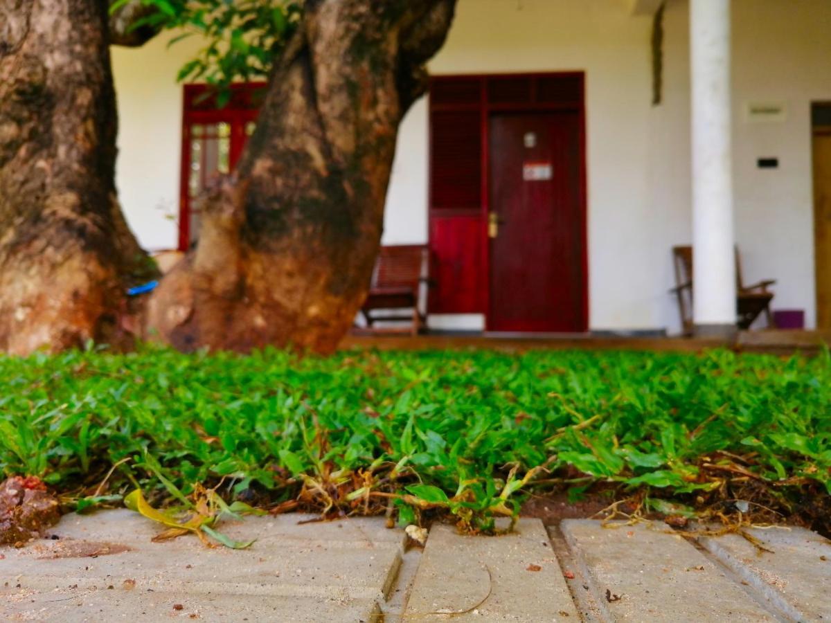 Sigiriya Green Garden Homestay ภายนอก รูปภาพ